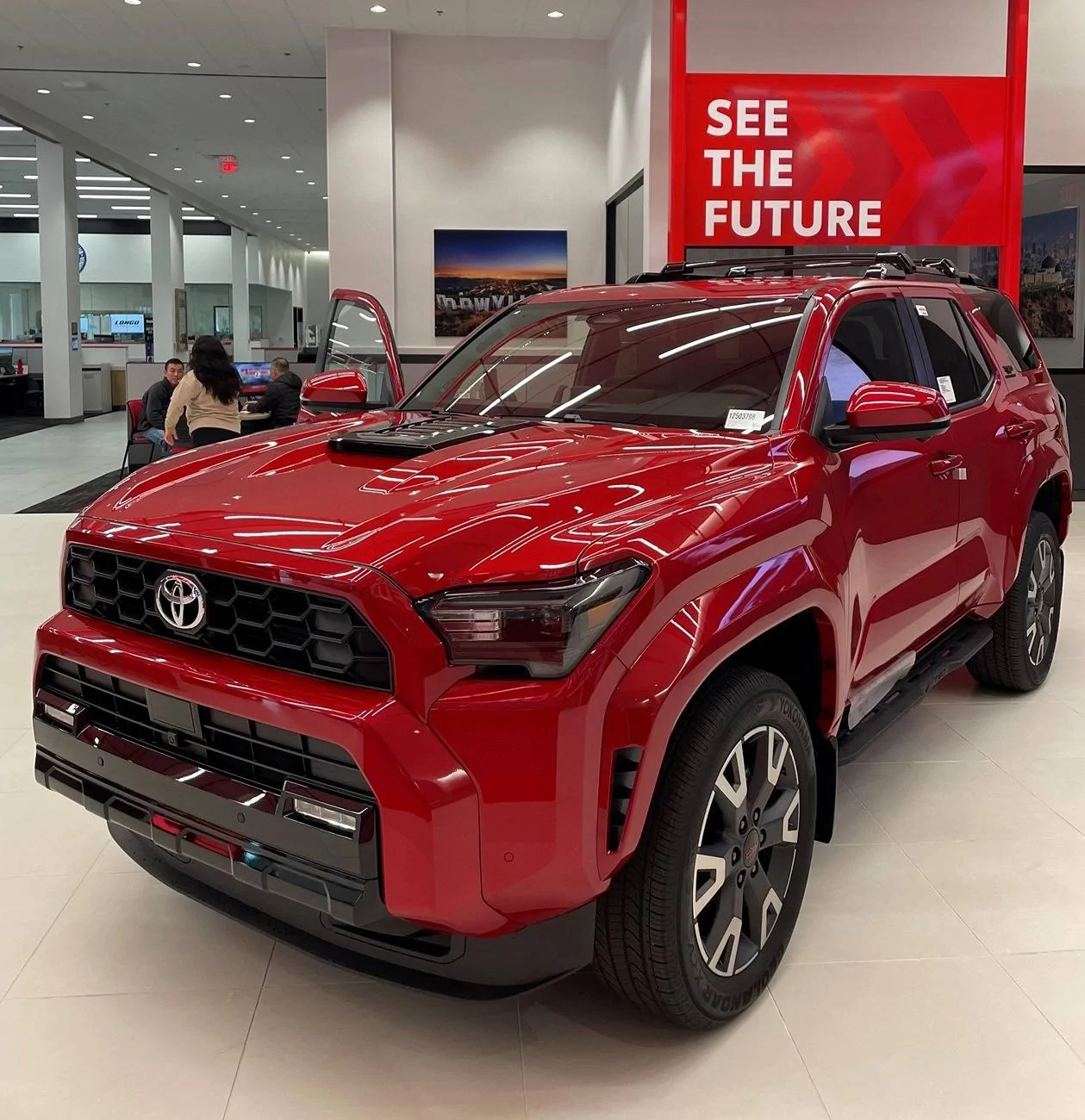 Sovereignty Horse 2025 4runner 